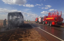 Ônibus escolar pega fogo e crianças conseguem fugir por rodovia em MT