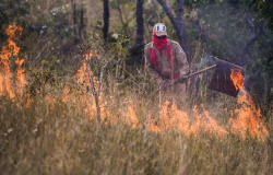 Multa para quem provocar queimadas em Alta Floresta pode chegar a 501 UPFM