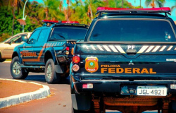 Madeireiro é preso pela PF por desmatamento e tentativa de homicídio contra policiais