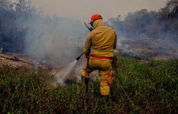 Propriedades rurais onde há uso irregular do fogo são fiscalizadas pelo Corpo de Bombeiros em MT