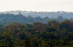 Mais de 45 organizações brasileiras repudiam tentativa de extinção do Parque Cristalino II