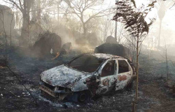 Incêndio na vegetação: Veículo e residência ficam destruídos pelo fogo em Alta Floresta