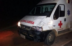 Ambulância atropela boi na MT-419 em Guarantã do Norte