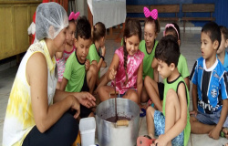 Pedagogia diferenciada: Escola de Educação Infantil de Alta Floresta e o projeto Chocolate