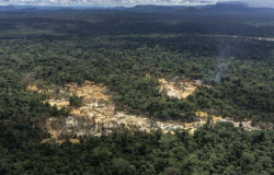 Febre que “mina” a floresta — Brasil tem 453 garimpos ilegais na Amazônia