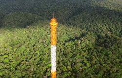 Floresta Amazônica: Torre construída em parceria Brasil-Alemanha pode analisar as mudanças climáticas