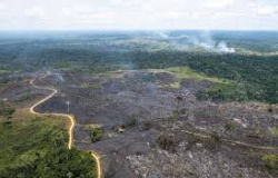 Crise Ambiental: >IPCC da Amazônia> vai mapear riscos da floresta