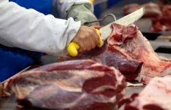 China e os frigoríficos têm dado sinais de novos negócios de carne bovina