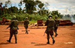 Forças Armadas voltam a atuar em Paranaíta, Apiacás, Nova Bandeirantes e outras 5 cidades de MT