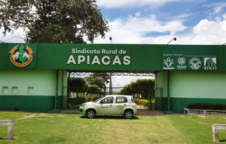 Sindicato Rural de Apiacás retorna com treinamentos após primeiro semestre paralisado