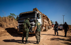 Operação Amazônia aplica R$ 938 mil em multas por desmatamento ilegal em sete propriedades de Marcelândia