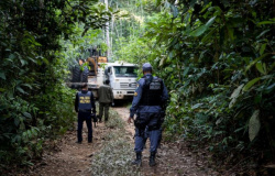 Mato Grosso reduz 60% dos alertas de desmatamento com ações da Operação Amazônia