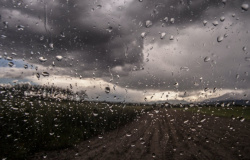 Semana começa com esperança de chuva em cidades do Nortão