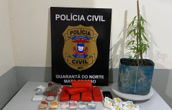 GUARANTÃ DO NORTE: Policiais civis localizam 5,5 quilos de entorpecentes com gerente do tráfico