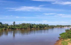 Senado flexibiliza Código Florestal e municípios poderão definir área de proteção em margens de rios