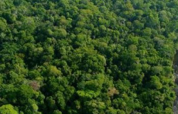 Governo do Pará fará ajuste no projeto de Criação de Unidade de Conservação