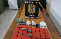 Polícia Civil apreende 9 tabletes de maconha e prende traficante em flagrante em Sinop