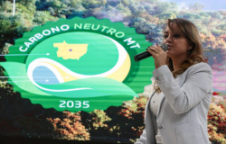 Programa REM MT apoia meta de carbono zero em Mato Grosso até 2035