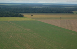 Mato Grosso é destaque nas análises do Cadastro Ambiental Rural, aponta levantamento nacional