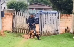 CERCO AO TRÁFICO: Polícia Civil usa cães farejadores em Operação na cidade de Paranaíta