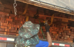 EM3 ANOS: Ações conjuntas do Indea geram apreensão de 342 caminhões com transporte ilegal de madeira