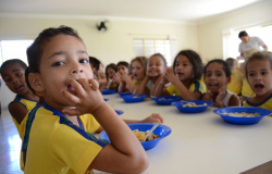 Merenda escolar de Mato Grosso pode ser enriquecida com mel e derivados
