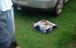 Bebê é encontrado em uma caixa de papelão cheia de formigas em Cuiabá