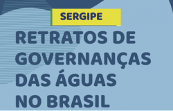 Retratos de governanas das guas do Brasil - ESTADO DE SERGIPE - Perfil dos representantes membros de comits de bacias hidrogrficas