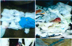 Empresa do Grupo Amazon Forte é multada por jogar lixo hospitalar no lixão de Porto Velho