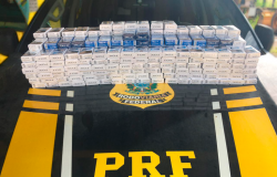 PRF apreende 350 carteiras de cigarro em ônibus que seguia para Alta Floresta
