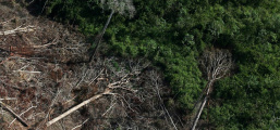 Desmatamento da Amazônia Legal cresce 171% em abril e é o maior em 10 anos