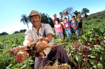 Proder tem o objetivo de consolidar a agricultura familiar e expandir o agronegcio, integrando os aspectos de apoios produtivos, tecnolgicos, organizacionais, ambientais e de mercado, no intuito de promover a incluso social, a elevao do ndice de Desenvolvimento Humano da populao rural