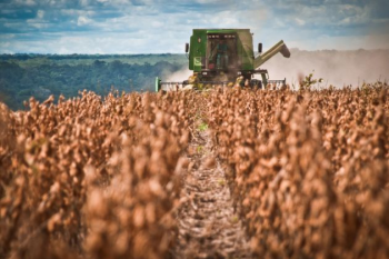 Problemas em safras da Amrica do Sul reduzem estoques de soja e milho dos EUA