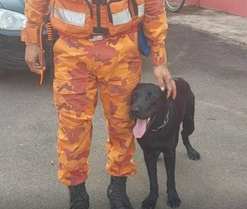 Cão farejador encontra homem que estava desaparecido há quatro dias em Rondônia