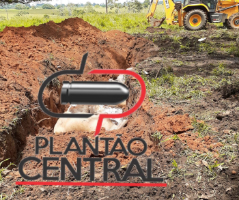 matéria plantãocentral.com.br