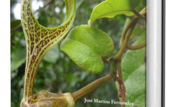Professor da UNEMAT publica e-book sobre plantas medicinais utilizadas em Alta Floresta