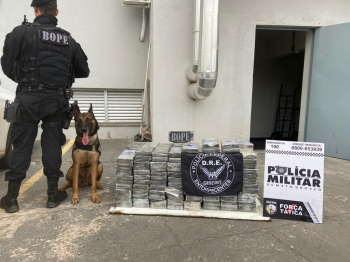 Policiais militares e federais apreendem 213 quilos de cocaína em Cuiabá