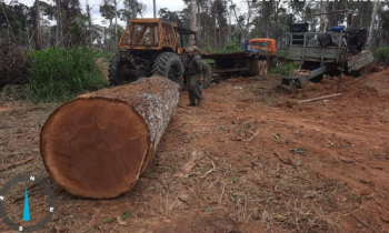 Operação Amazônia apreende máquinas e aplica R$ 5,1 milhões em multas em Alta Floresta, Apiacás e mais 2 municípios