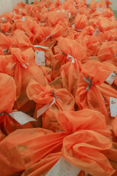 Nexa vai entregar mais de 300 kits de Natal para famílias de Aripuanã