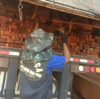 EM3 ANOS: Ações conjuntas do Indea geram apreensão de 342 caminhões com transporte ilegal de madeira