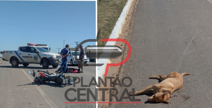 Motociclista é socorrida ao Hospital Municipal após atropelar cachorro que atravessou a BR 364