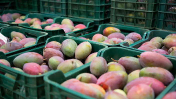 Brasil bate recorde histórico com mais de US$ 1,21 bilhão em exportação de frutas em 2021